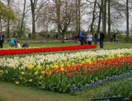 935198_544571382261532_2117963940_n