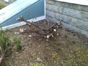 downsized_0518131114