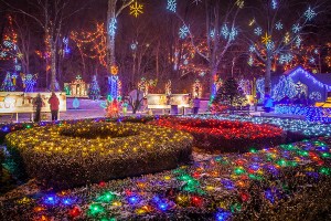 festival-of-lights-resized